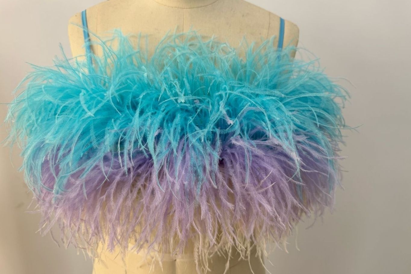 Mila Multi-Color Feather Top Clothing Ellaé Lisqué