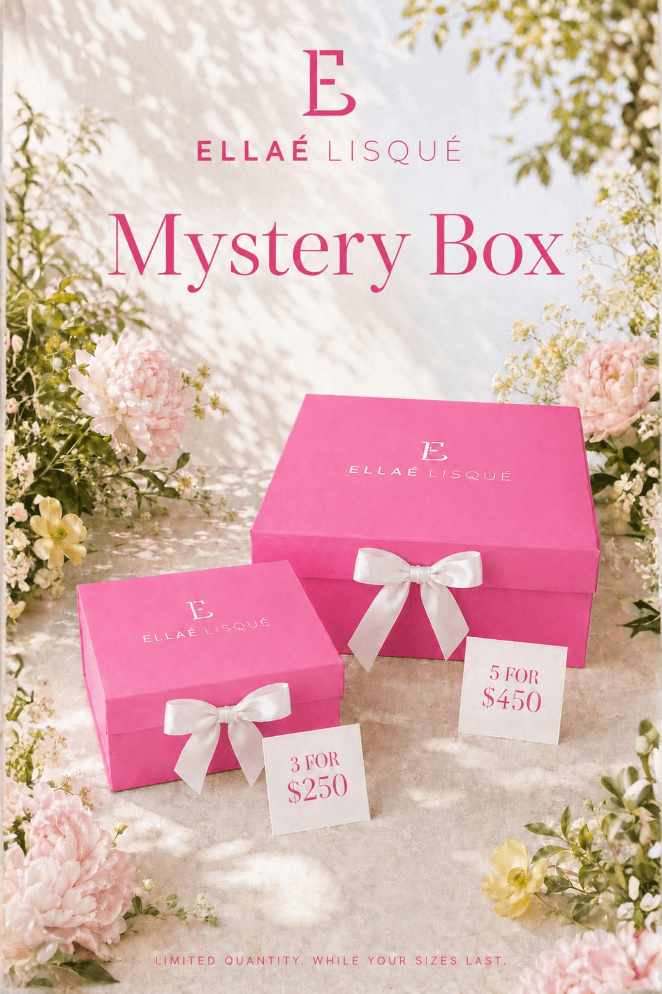 Mystery Box Clothing Ellaé Lisqué